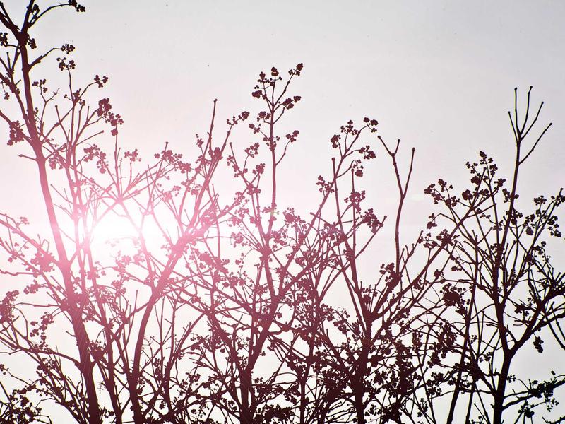 sudoku leaderboard screenshot 6