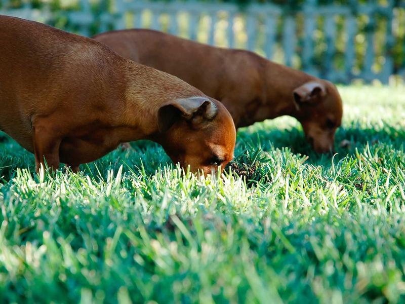 sudoku leaderboard screenshot 2